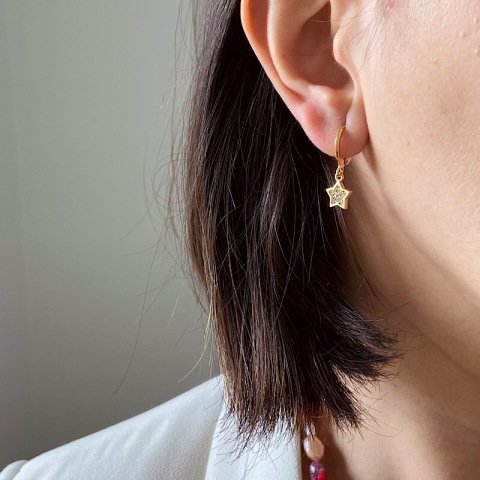 Taşlı Yıldız Küpe