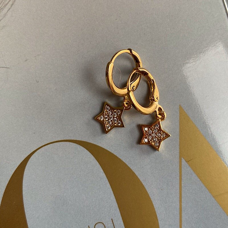 Taşlı Yıldız Küpe