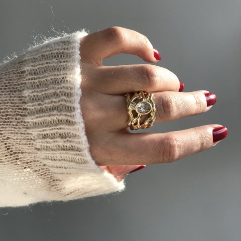 The Wizards Ring