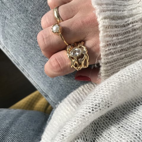 The Wizards Ring