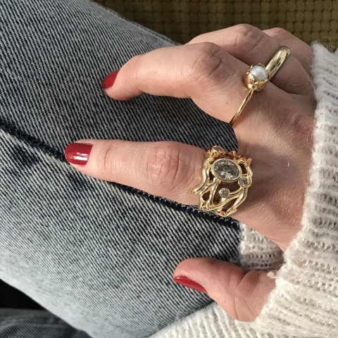 The Wizards Ring
