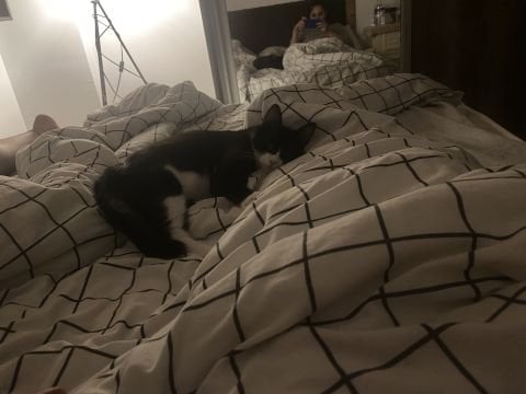 Sodalit Oval Doğal Taş Yüzük