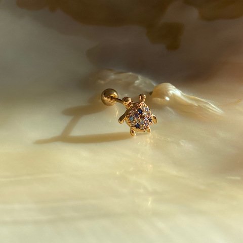 Kaplumbağa Piercing